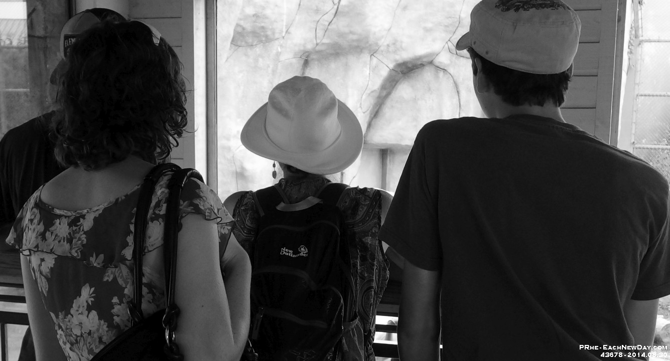 43678CrBwLe - We go to the Metro Toronto Zoo, because Julia really, Really, REALLY wanted to